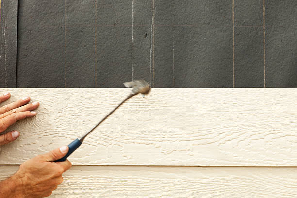 Best Stucco Siding  in Rochelle, GA