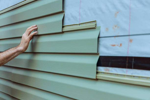 Best Siding Painting and Refinishing  in Rochelle, GA